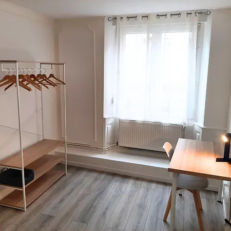 Apartment Et Spacieux Au Centre - La Boheme Mulhouse