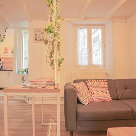 Appartement La Boheme - Ideal Familles, Hyper Centre Mulhouse