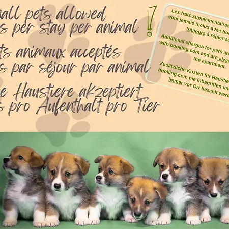 Appartement La Boheme - Ideal Familles, Hyper Centre